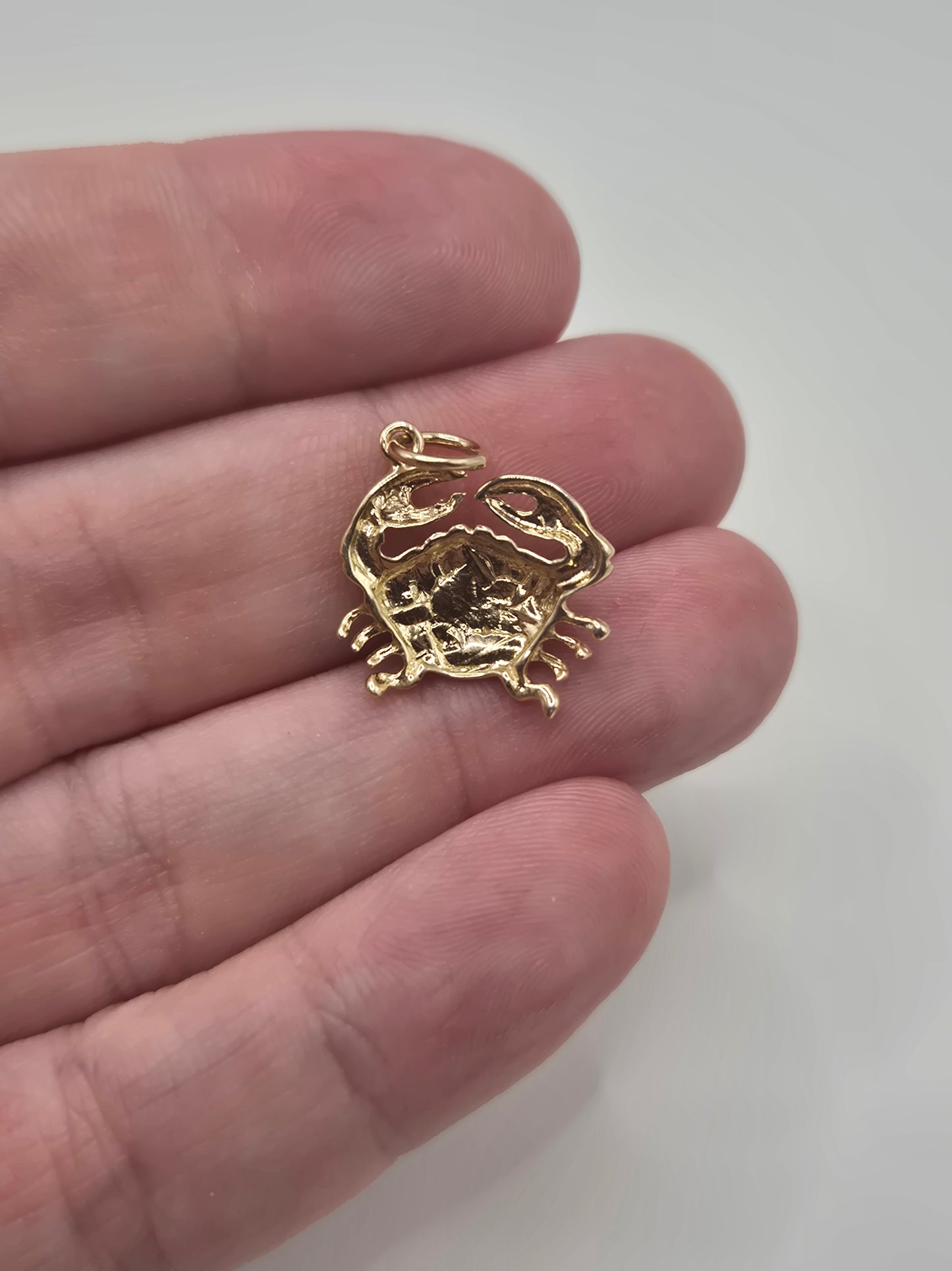 9ct gold cancer zodiac charm