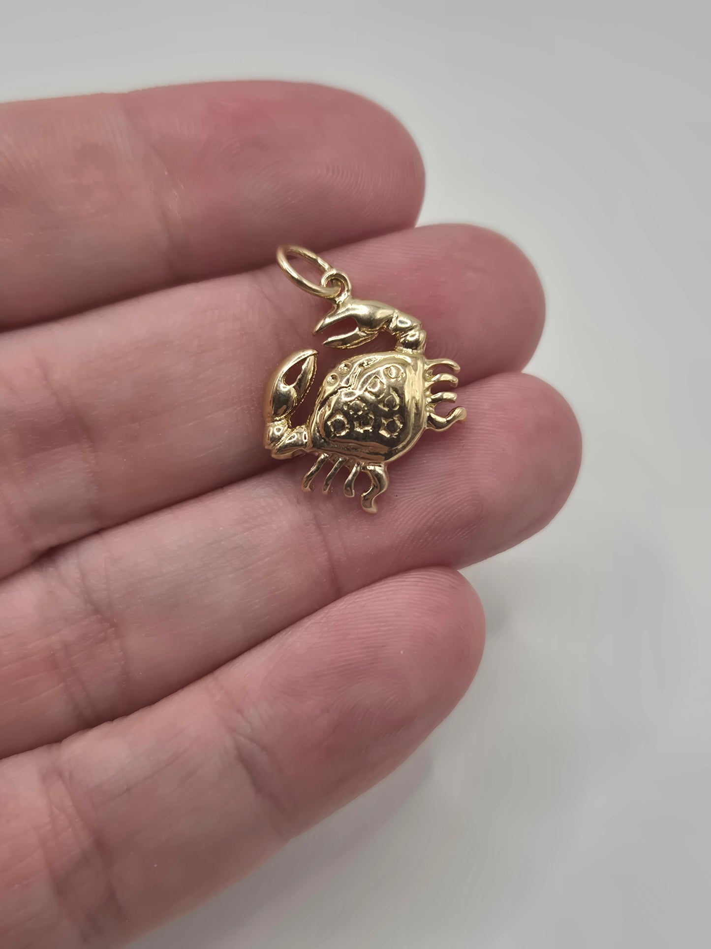 9ct gold cancer zodiac charm