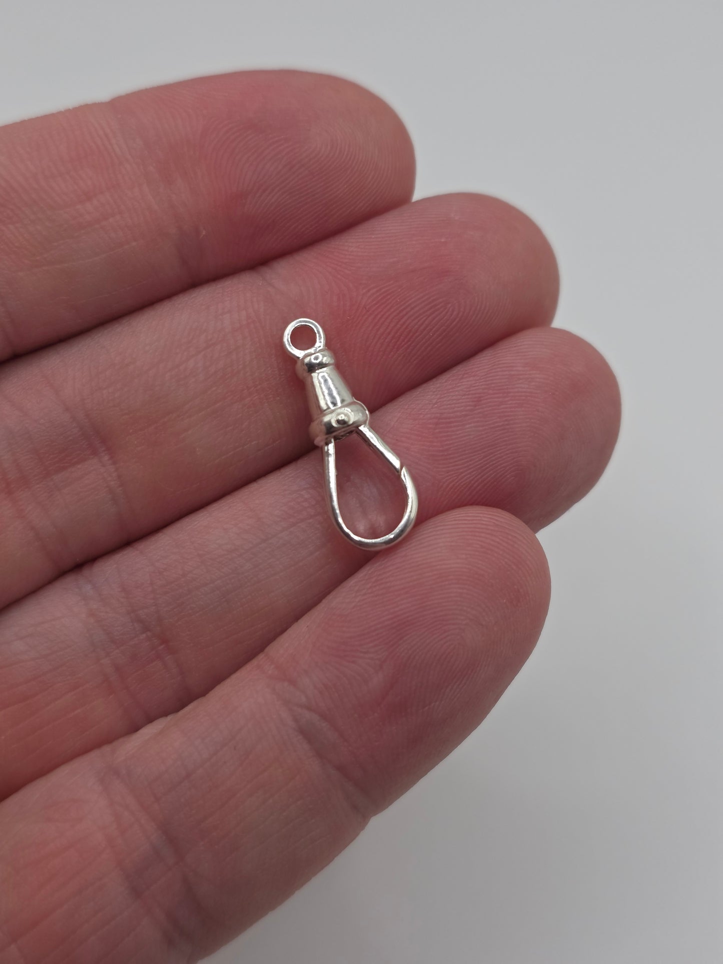 Silver dog clip (1)