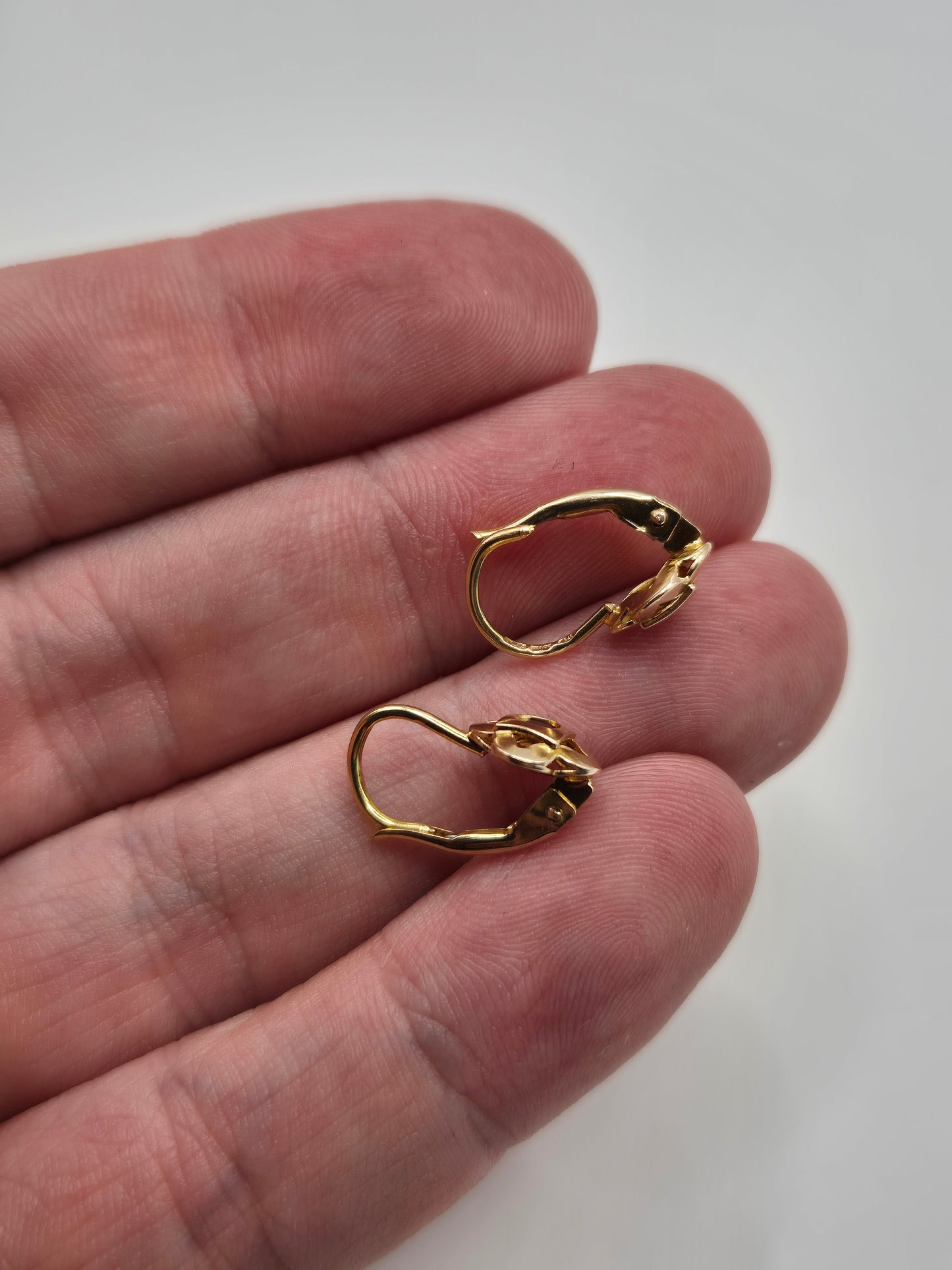 9ct gold garnet earrings