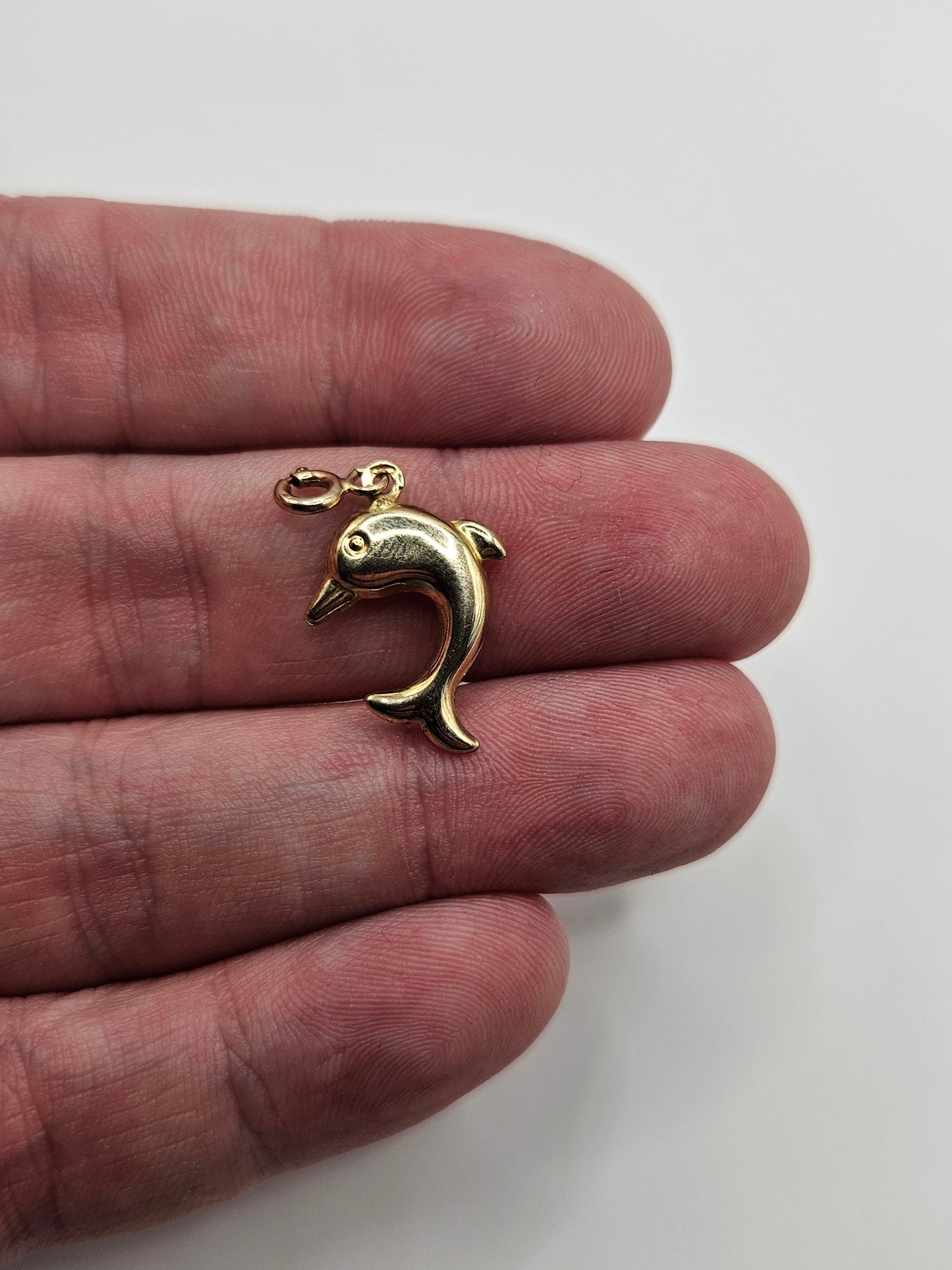 9ct gold dolphin pendant with clasp