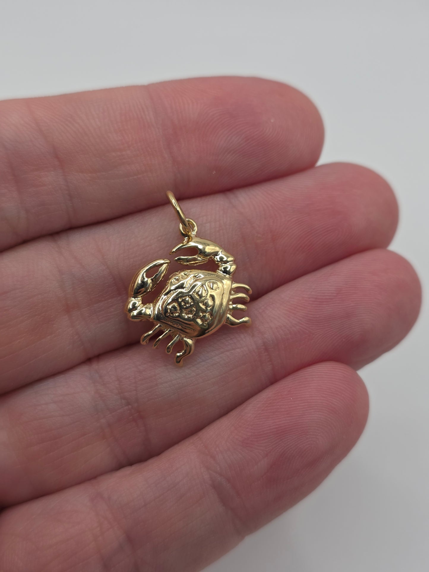 9ct gold cancer zodiac pendant