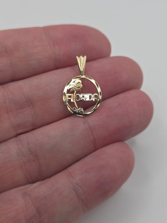 9ct gold florida pendant