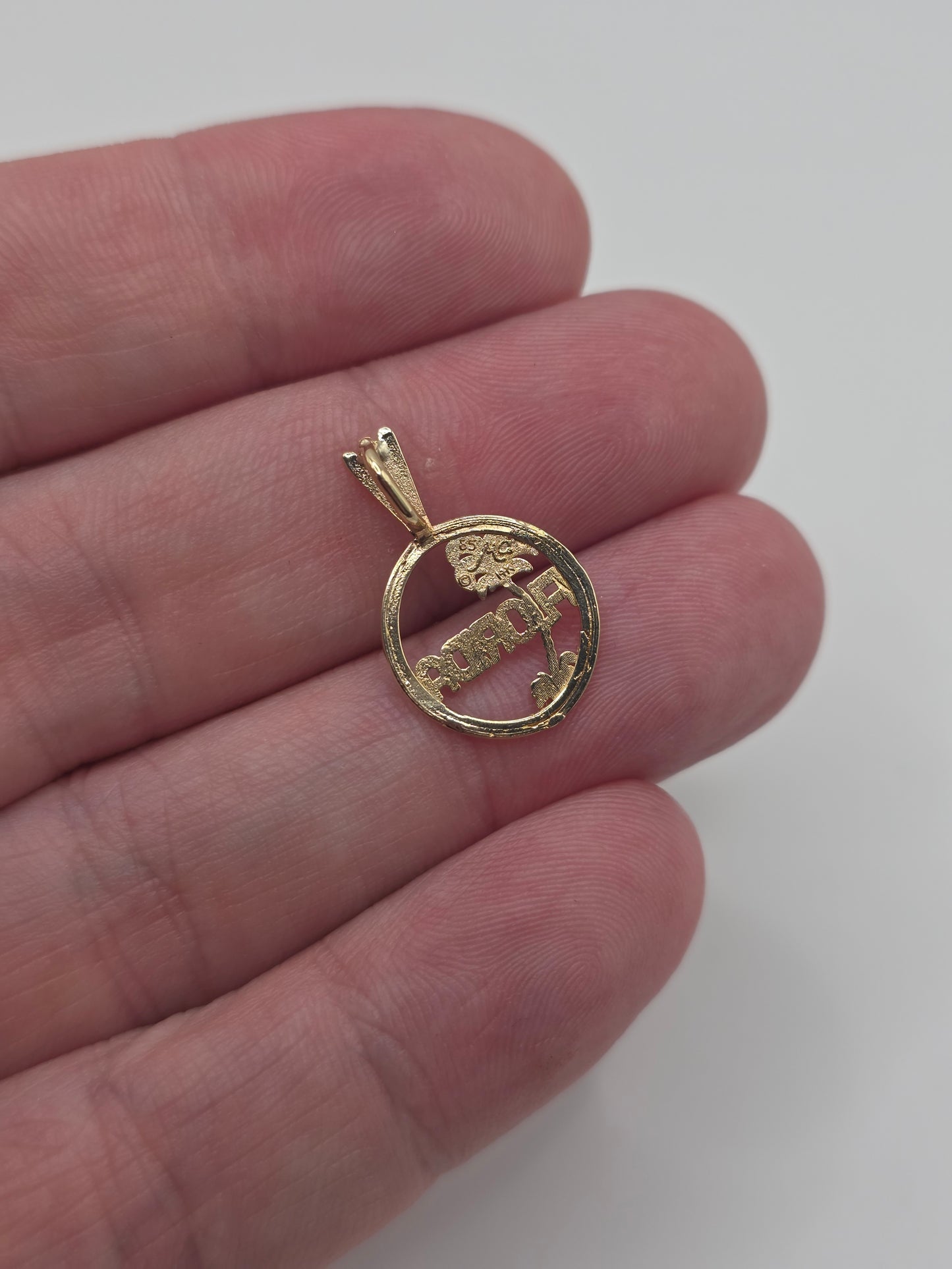 9ct gold florida pendant