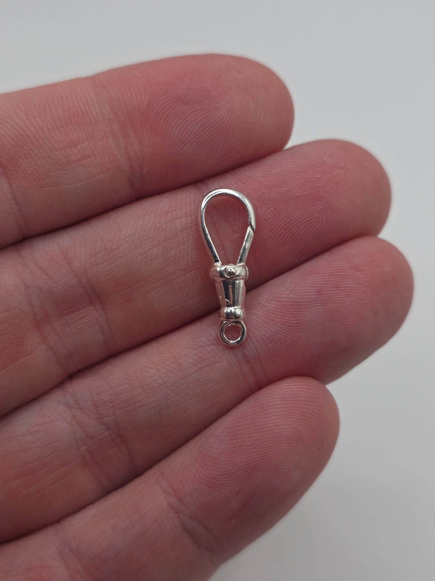 Silver dog clip (1)