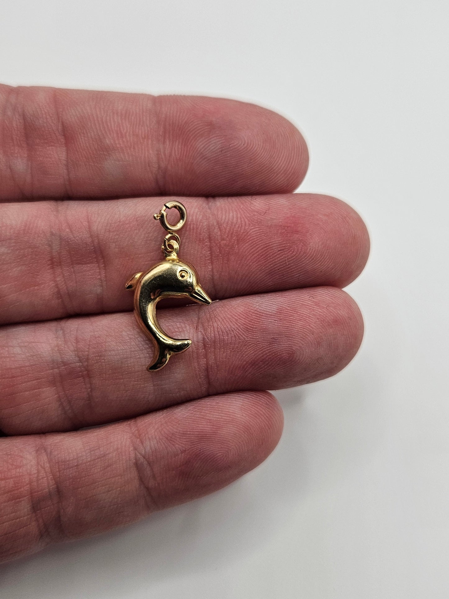 9ct gold dolphin pendant with clasp